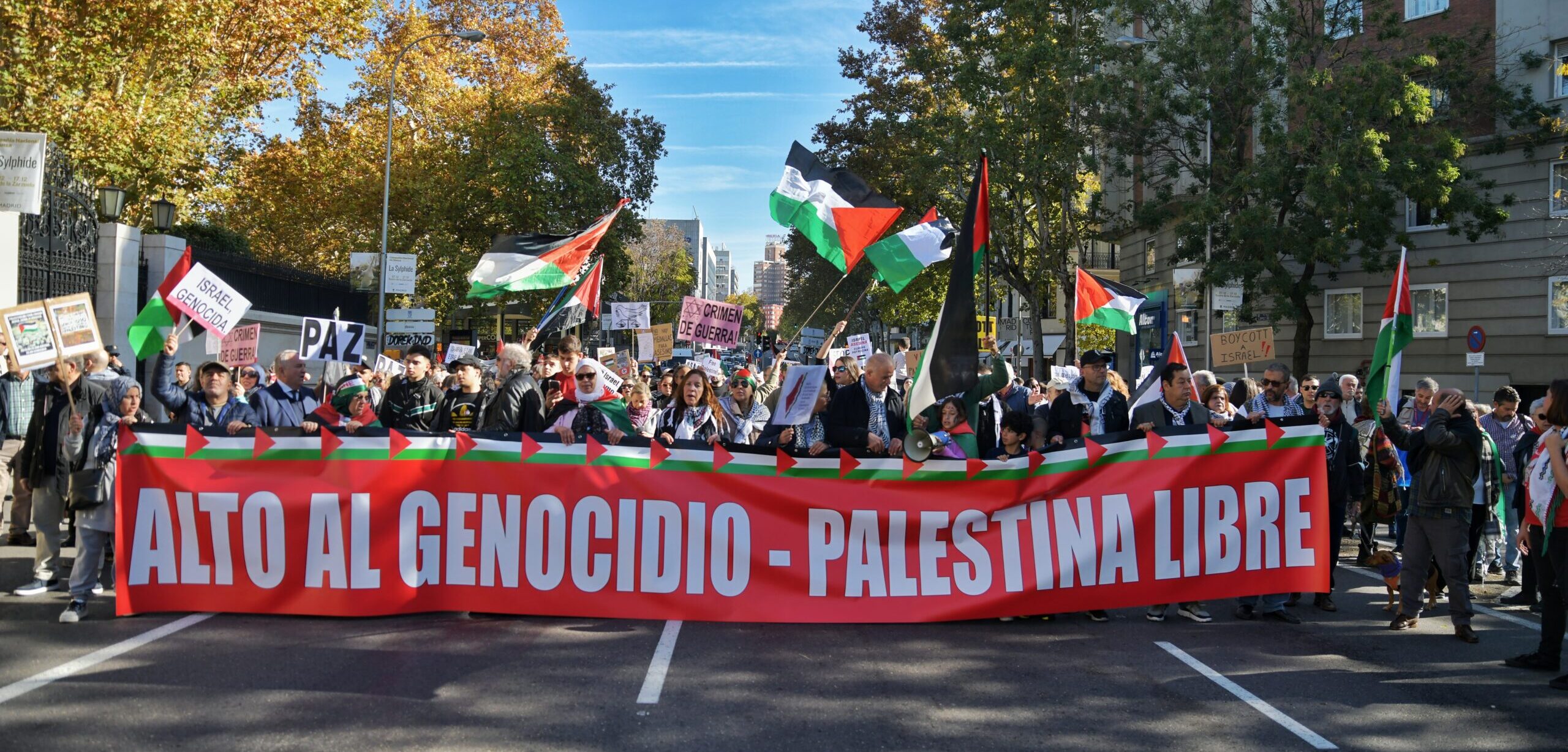 Marcha de apoyo a Palestina en Madrid (galería de fotos)