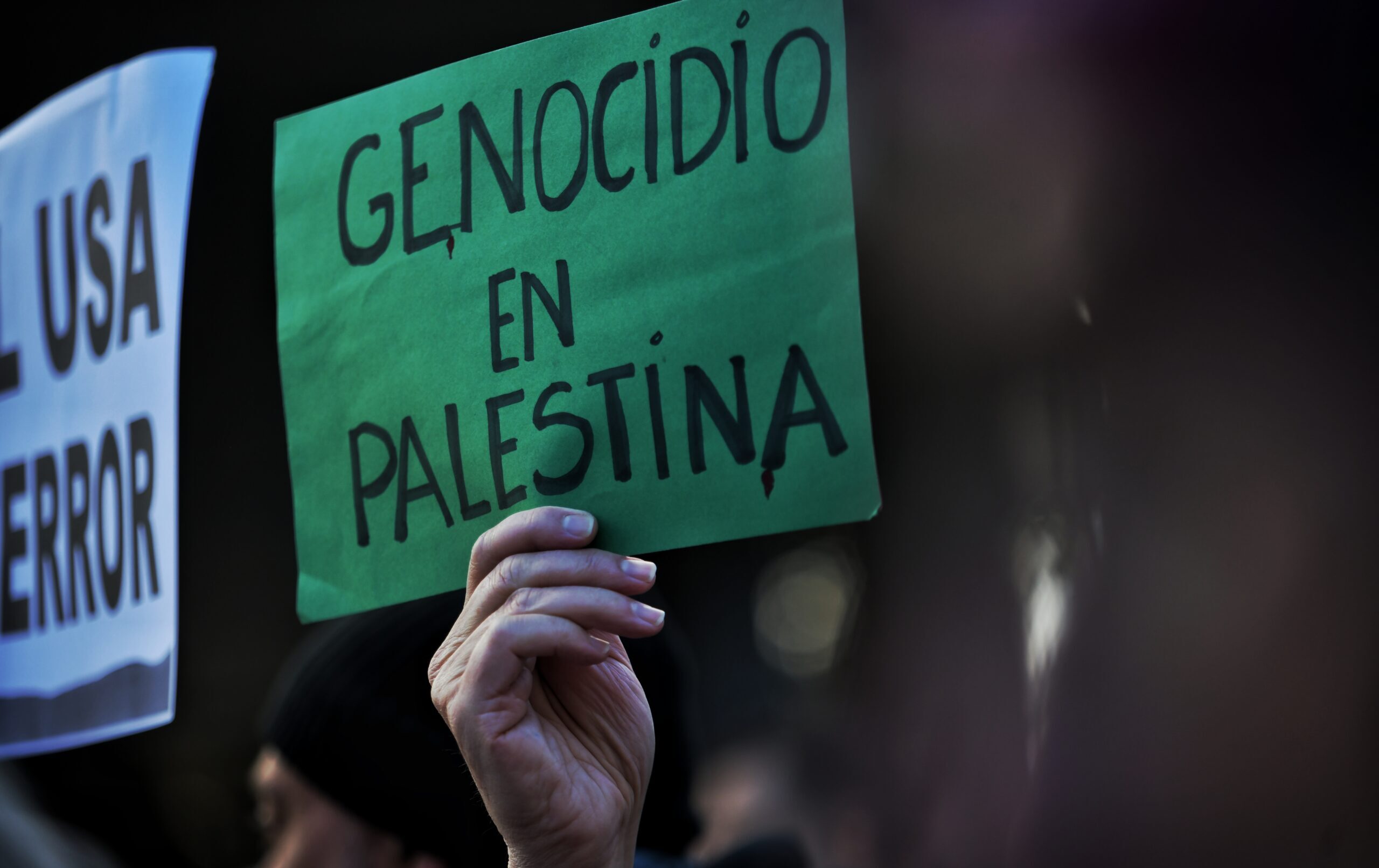 Manifestación de apoyo a Palestina (Galería de fotos)