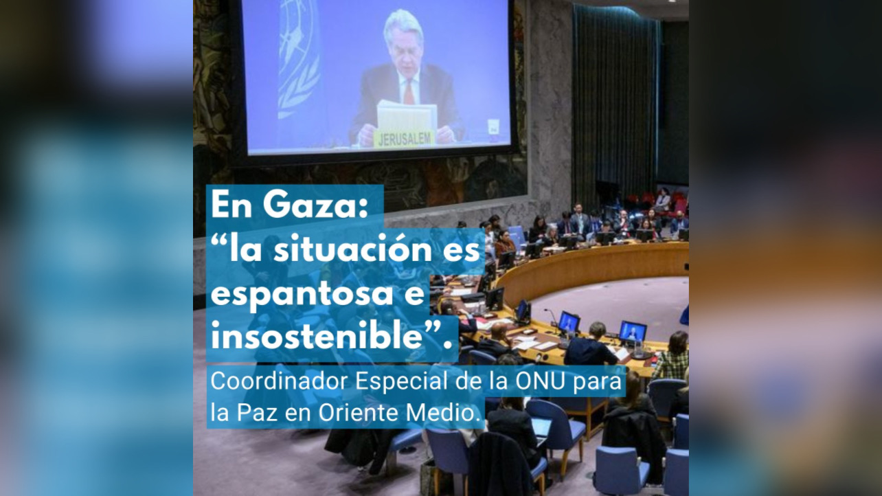 Relatores y expertos de la ONU dicen que “las exportaciones de armas a Israel deben cesar inmediatamente”