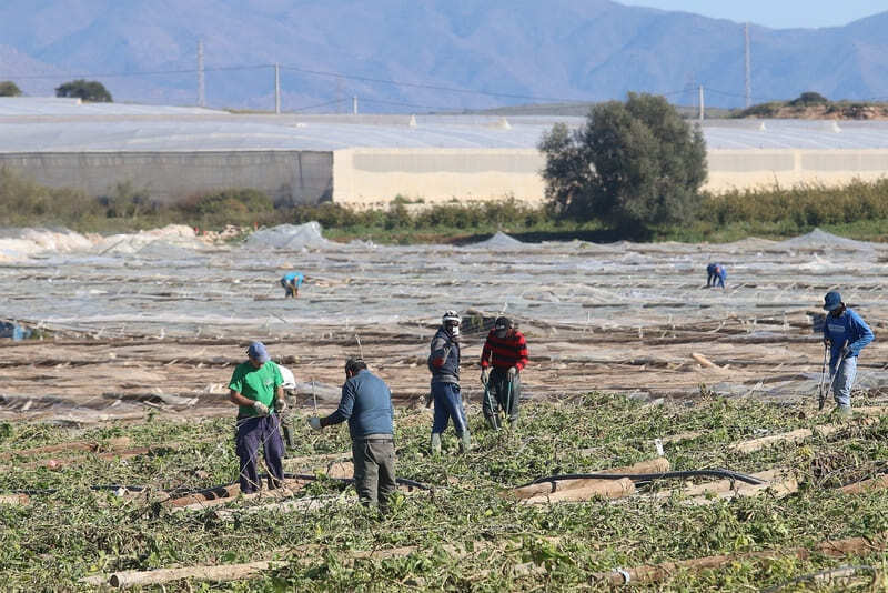 invernaderos nijar Almería trabajadores agricultura